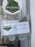 Gelato Wedding Cake- Green Avenger Seeds Feminized novelty collector item