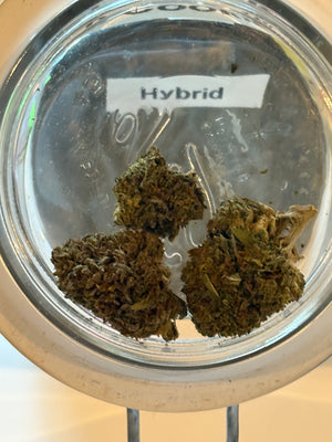Lemon Cookie Dough Exotic Hemp Flower from Earthy