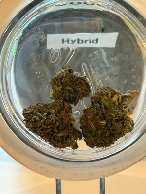 Lemon octane strain Exotic Hemp Flower by Earthy Hemp