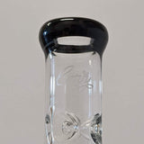 Envy Glass Customs 1 of 1 tall straight rig with electroformed gemstones.
