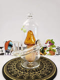 Space Glass Mushroom in a bottle rig @spaceglass 14mm 90 degree